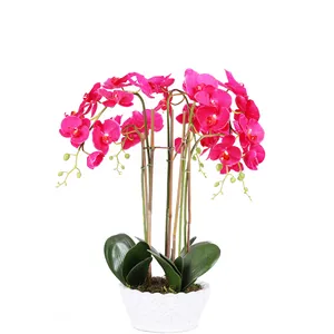 Bonsaï artificiel Phalaenopsis L'ensemble Orchidée Vraie Touche Fleurs Haute Simulation Fleur Orchidée Ensemble pour La Maison salon