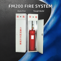 Armoires de lutte contre l'incendie en métal rouge FM200 40L Système d'agent propre automatique Extincteurs