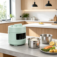 Mini-cuiseur à pression électrique 2L compact multifonction pour la maison