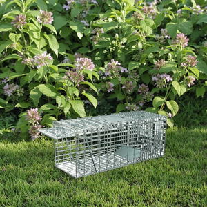 Grand piège à lapins d'intérieur Cage Outil de lutte antiparasitaire pour animaux vivants avec piège à <span class=keywords><strong>chat</strong></span> Vente de pièges à lapins et à chats - Product Image 1