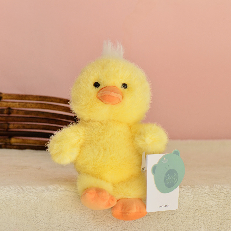 Petit canard qui court