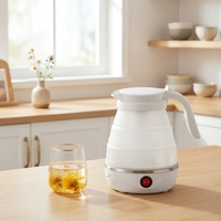 Bouilloire électrique portable en acier inoxydable avec arrêt automatique, capacité de 0,6 L, design pliable et compact pour une utilisation domestique et en extérieur