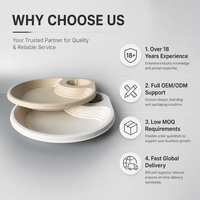 Teanhe – Barquettes alimentaires jetables et porte-gobelets plats modernes en bagasse biodégradable et écologique pour café, hamburgers et bols en pulpe
