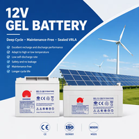 Baterai VRLA Gel Sealed AGM 12V 24Ah 150Ah 200Ah untuk Keamanan Rumah & UPS |   Baterai Asam Timbal Bebas Perawatan untuk Penyimpanan Energi