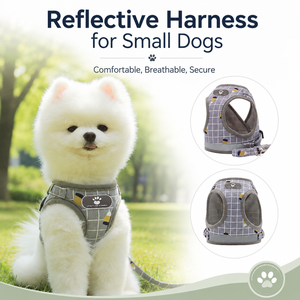 Plaid <b>Pet</b> Harness with <b>Leash</b> Poly-Cotton Mesh Breathable Vest Harness Set for Small Dogs Cats - Product Image 2