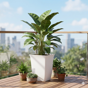Maceta Cuadrada de Plástico Blanco, Diseño Moderno y Minimalista para Plantas Verdes y Flores de Interior, Uso Doméstico - Product Image 1