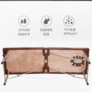 Cama de Masaje Portátil de Metal para Uso Doméstico, Salón de Belleza, Fisioterapia y Moxibustión, Plegable - Product Image 3