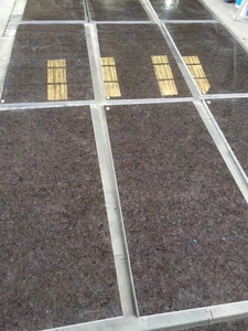 Hoa Oải Hương Labrador Antique Granite đánh bóng gạch với sáng bắt đầu chấm - Product Image 5