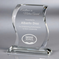 Nouvelle Arrivée - Trophée Plaque en Cristal en Gros pour Récompenses d'Entreprise et Événements de Reconnaissance
