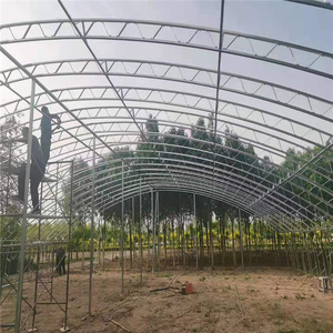 बड़े हाइड्रोपोनिक कृषि ग्रीनहाउस बहु-अवधि स्टील और प्लास्टिक फिल्म सुरंग वनस्पति बीजों के लिए टिकाऊ धातु फ्रेम - Product Image 6