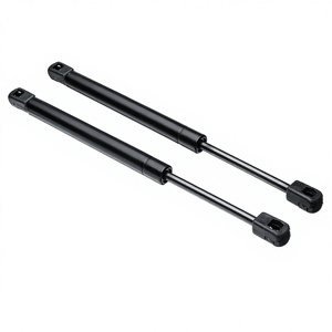 Vérin à gaz <span class=keywords><strong>de</strong></span> 22 mm <span class=keywords><strong>de</strong></span> diamètre avec joint en plastique, ressort à gaz en acier, capacité <span class=keywords><strong>de</strong></span> charge <span class=keywords><strong>de</strong></span> 44 lb, pièces détachées automobiles directement du fournisseur chinois - Product Image 1