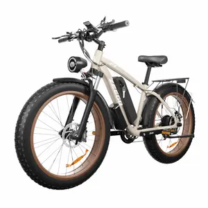 5 Jaar Garantie 1000W 16ah Accu E Bike 26 Inch Fat Tire Electric Dirt Fiets