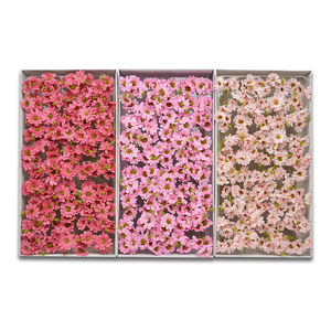 Ot-venta oficial-Baja-ecoración de alentina, IFT, ox - Product Image 1