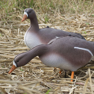 Señuelos de Caza de Gansos Silhouette, Resistentes al Agua y a la Decoloración, con Varillas de Soporte - Product Image 5