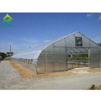 Kit de serre tunnel agricole automatique à simple travée de 300 m² en film PE pour tomates, sur mesure