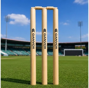 Ensemble de piquets de cricket durables en bois avec traverses pour l'entraînement, les matchs et les jeux de cricket récréatifs - Product Image 3
