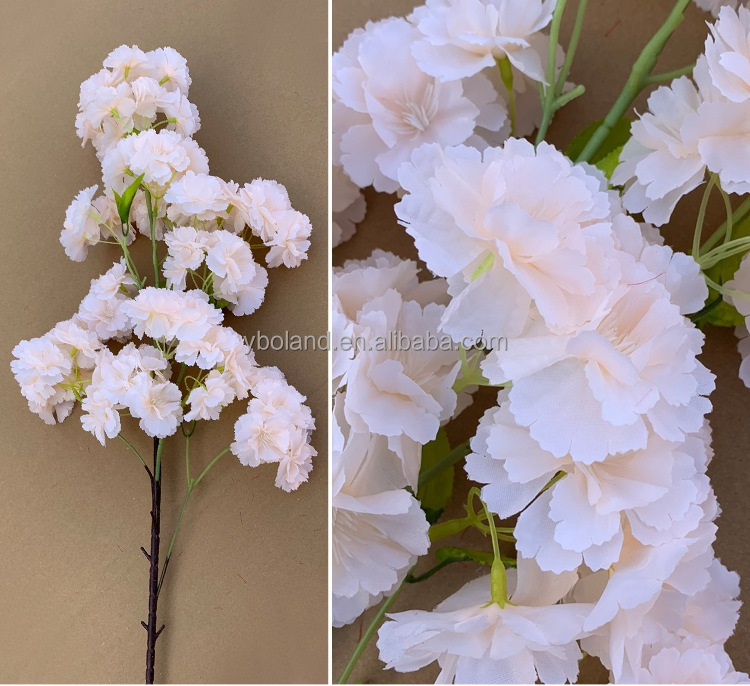 cherry blossom  branches