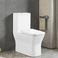 WC en céramique de couleur blanche, vente en promotion, chasse d'eau Tornado, prix économique, sanitaire, à poser au sol, WC en céramique, WC certifié CUPC