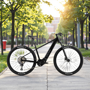 Nouveau <span class=keywords><strong>Vélo</strong></span> Électrique 2026 EM5-2rd – <span class=keywords><strong>Meilleur</strong></span> <span class=keywords><strong>Vélo</strong></span> Électrique avec Cadre Léger en AL7005, Moteur Central 48V250W, 12 Vitesses - Product Image 1