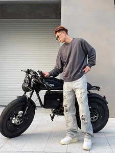 Bicicleta Eléctrica para Adultos/Jóvenes con Batería de Litio de 48V, Diseño Estilo Motocicleta, Alcance de 65km, Motor Trasero TDM009Z - Product Image 2