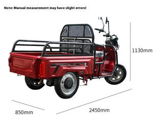 Petit moderne 2 places batterie pliante électrique 3 roues passager 2 personnes cargo <span class=keywords><strong>tricycle</strong></span> électrique - Product Image 3
