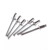 Rivets aveugles étanches en acier inoxydable SS304 SS316 de taille standard