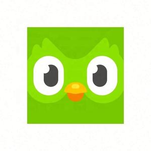 Cuenta Premium Duolingo Pro 1 Año, Activa Tu Propia Cuenta, Aplicable Globalmente en Todo el Mundo - Product Image 3