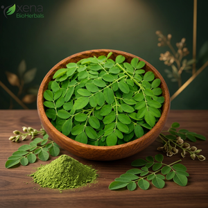 Poudre d'extrait de Moringa Oleifera de qualité supérieure, fabricant en gros, fournisseur de poudre de Moringa séchée à base de plantes - Product Image 1