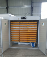 Mayorista directo de fábrica, Incubadora de huevos 5000 completamente automática con energía Solar, máquina para incubar, pollo, pato, 220V, nuevo