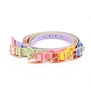 Correa recubierta de silicona para perro, conjunto de Collar de PVC liso con placa de nombre y personalidad, resistente al agua - Product Image 3
