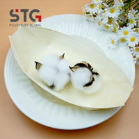 Plateau à sushi écologique de 8 pouces, personnalisé OEM, en bois de peuplier, pour événements, expositions, banquets, certifié BSCI