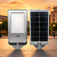 Lampe solaire de jardin résistante à la poussière et à la pluie, avec activation automatique au crépuscule et détection humaine, idéale pour les allées rurales, les fermes et les parcs
