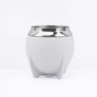 Taza de yerba mate Taza de té mate de calabaza aislada