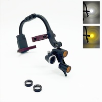Loupes binoculaires dentaires 4X 5X 6X en option, lampe frontale chirurgicale LED 5W, loupes médicales à fixation sur la tête, équipement de laboratoire dentaire