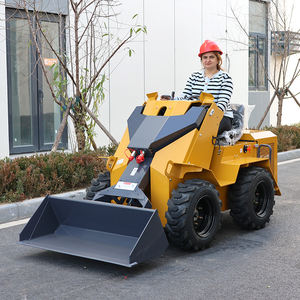 Chargeur compact télescopique <span class=keywords><strong>mini</strong></span> petit de 300 kg à 350 kg certifié CE EPA avec accessoires de broyeur à <span class=keywords><strong>grappin</strong></span> - Product Image 1