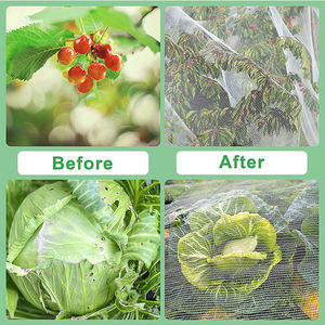 Filet anti-insectes direct pour serre gazébo filet anti-insectes <span class=keywords><strong>tomate</strong></span> protection anti-insectes filet à mailles fines - Product Image 6