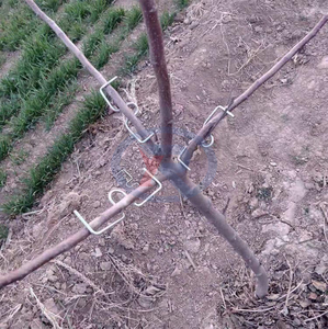 Bán hàng nóng táo lê cây ăn quả chi nhánh mới uốn thiết bị/cây chi nhánh kéo máy buộc - Product Image 5