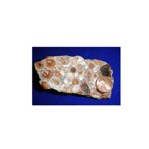 Bauxite calcinée à haute teneur en Al2O3, qualité industrielle, approvisionnement en usine, vente en gros, matériau en vrac provenant d'un exportateur indien - Product Image 1