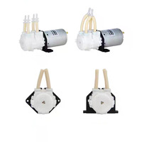 Mini pompe péristaltique KPP2, pompe doseuse 12V 24V DC, tube BPT, 2 têtes de pompe, analyseur chimique de laboratoire médical, codage jet d'encre
