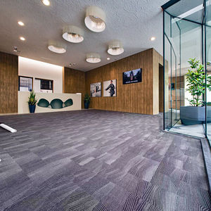 Лидер продаж: Коммерческие напольные покрытия для отелей – 100% нейлон, ворсистый, с рисунком, напечатанные ковровые плитки - Product Image 1