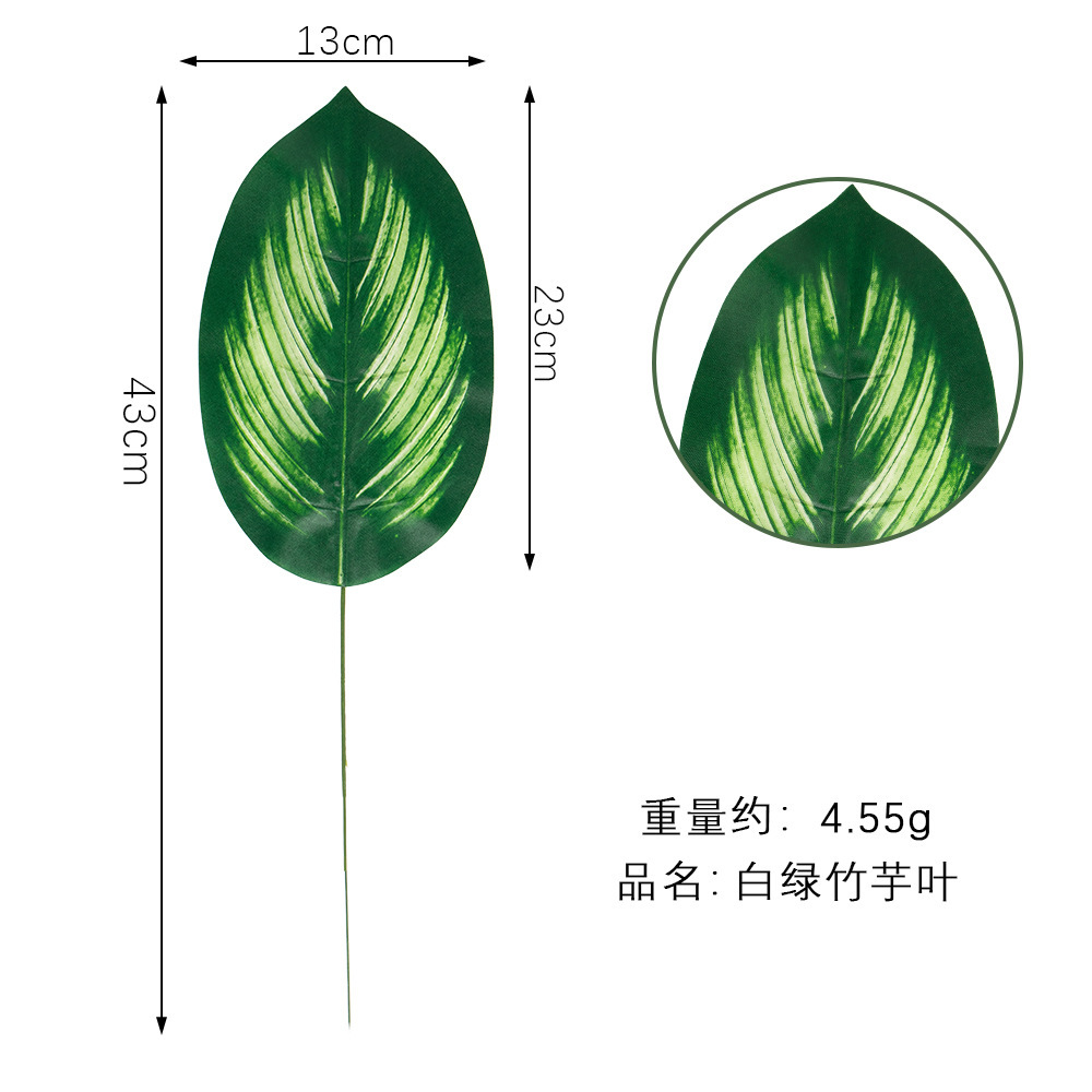 White green bamboo taro leaf