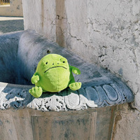 Peluche JC TOY STORY Jelly Style Version Haute 20cm Ricky Rain Frog avec base lestée, visage grincheux, toucher doux et lavable, jouet anti-stress