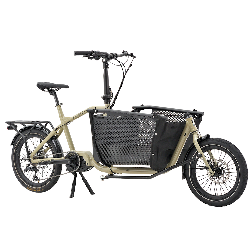 Foldable Bakfiets Electric Tricycle with Cargo Capacity