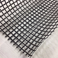Geogrid de Fibra de Vidrio Recubierta de Betún de Alta Tenacidad, Marca Born, Resistencia a la Tracción de 100KN, Garantía de 3 Años para Carreteras Asfaltadas