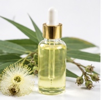 Huile d'Eucalyptus Citriodora de Qualité Cosmétique, Extrait Liquide Végétal Séché par Pulvérisation, Origine Jiangsu