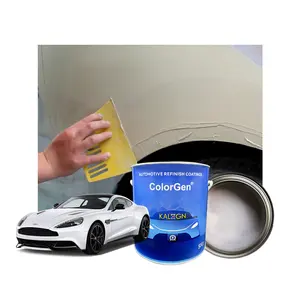 Acrylic Car Body Filler Polyurethane Putty in Liquid Form for Car Boat Auto Paint Application Spray Method