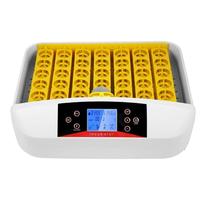L'éclosion — incubateur automatique 42 œufs de poulet, machine pour l'éclosion des œufs, nouvel arrivage