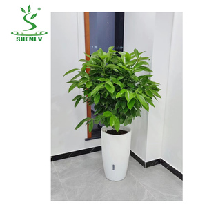 Vente en gros Offre Spéciale Pots de fleurs colorés en plastique de haute qualité, double couche, moule de jardinière d'extérieur - Product Image 5