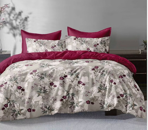 2025 Thiết Kế Mới Bộ Sưu Tập Nhà Máy In Tấm Ga Giường Thiết Lập Và Vỏ Gối Bìa 100% Polyester Cao Cấp Bộ Đồ Giường Bộ Sưu Tập - Product Image 1