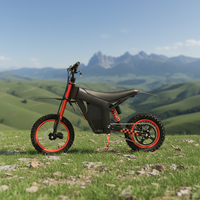 Adult Off-Road Electric Sportbikes 3000-Watt Motor Top Speed 55 Kilometers Per Hour 48-Volt Hydraulic Shock Absorption System